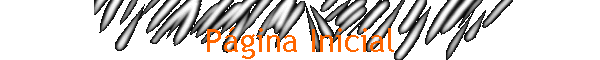P�gina Inicial