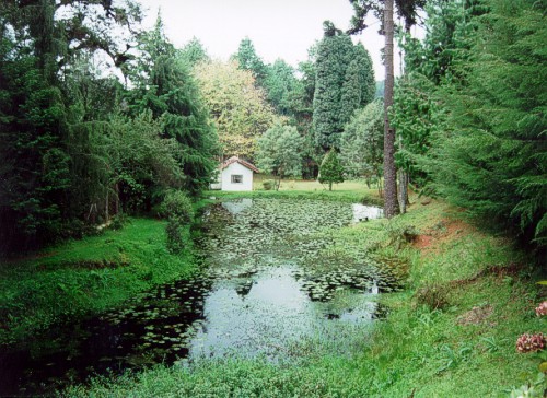 lago.jpg (89365 bytes)