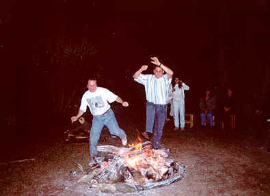 fog1.jpg (34248 bytes)